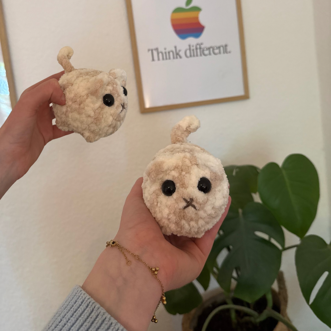 Katzen Plushies 🐈