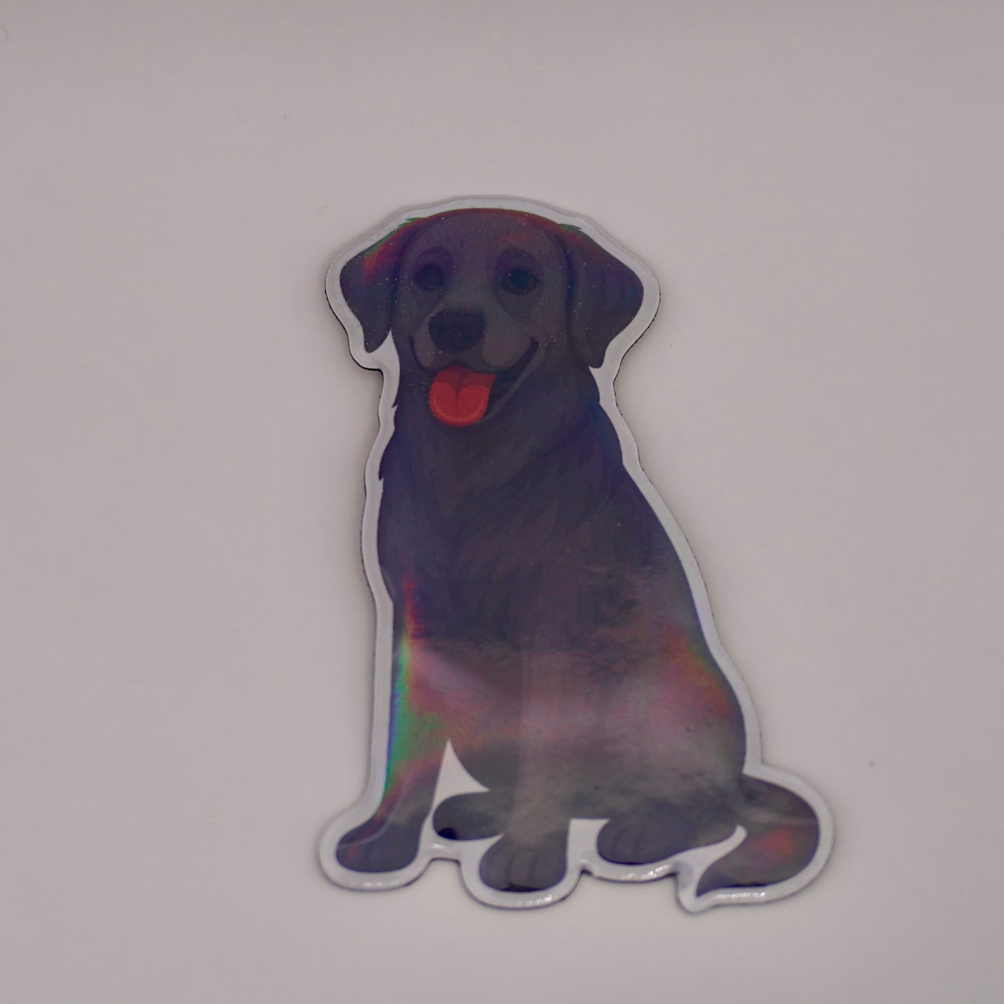 Hunde Sticker & Magnet Bundel (3er Set)
