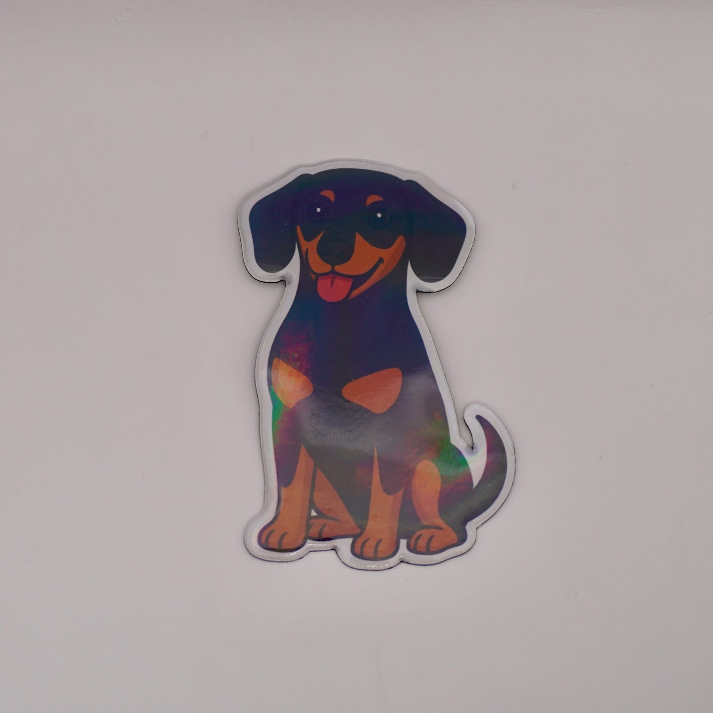 Hunde Sticker & Magnet Bundel (3er Set)